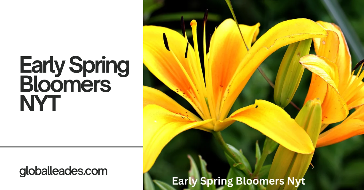 Early Spring Bloomers NYT